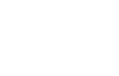 flir