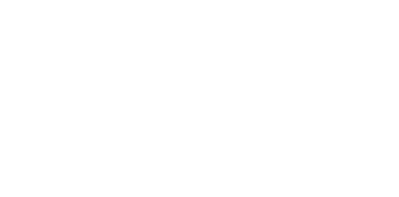 Navionics