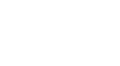 raymarine