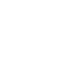 Scanstrut